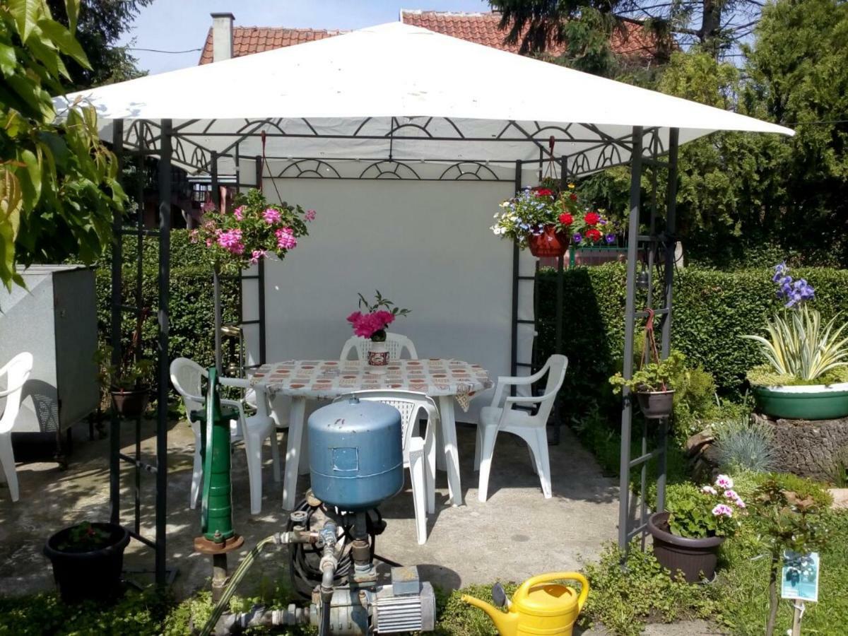 Apartment Ljupka Pancevo Ngoại thất bức ảnh