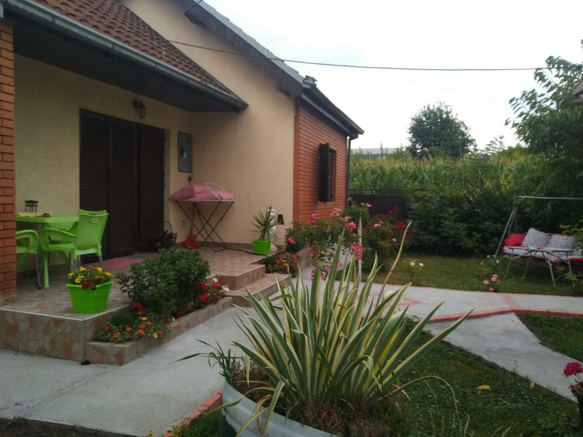 Apartment Ljupka Pancevo Ngoại thất bức ảnh
