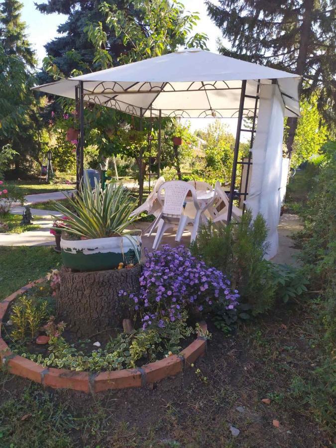 Apartment Ljupka Pancevo Ngoại thất bức ảnh