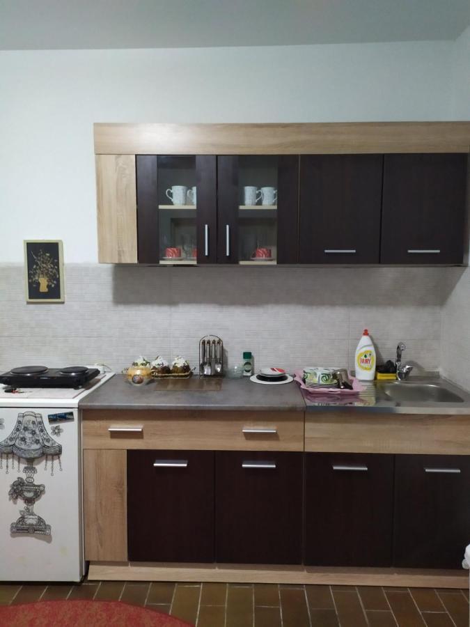 Apartment Ljupka Pancevo Ngoại thất bức ảnh
